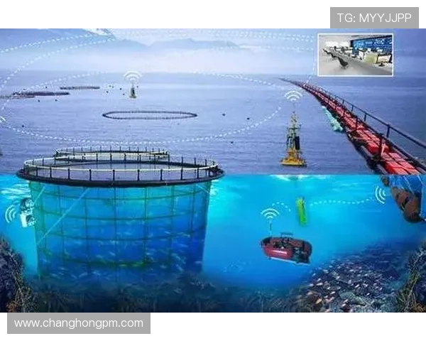 ViperADC核心技术解析与应用前景探索及未来发展方向研究