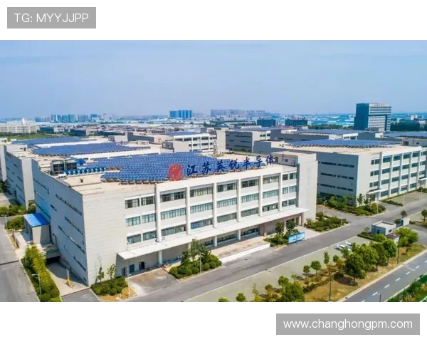 武汉三镇融合发展探索城市更新与区域协同高质量发展新路径