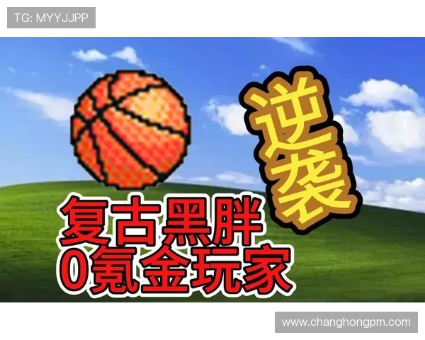 篮球风云再起：从街头到职业赛场的崛起与挑战