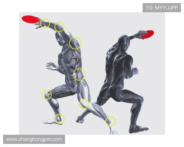 乒乓球技术与战术的完美结合：从基础动作到高级技巧的全面解析