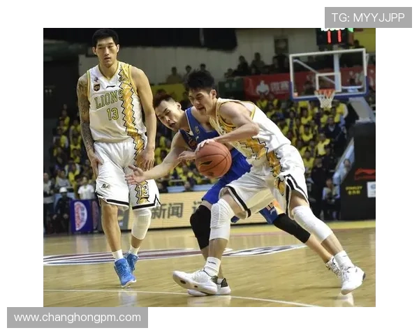 浙江广厦引领篮球新风潮 强势崛起背后的奋斗与坚持