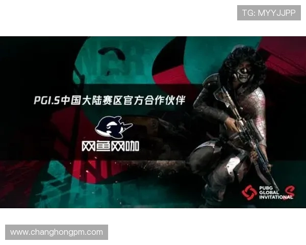 17 Gaming绝地求生战队崛起之路与电竞圈的全面影响与未来展望