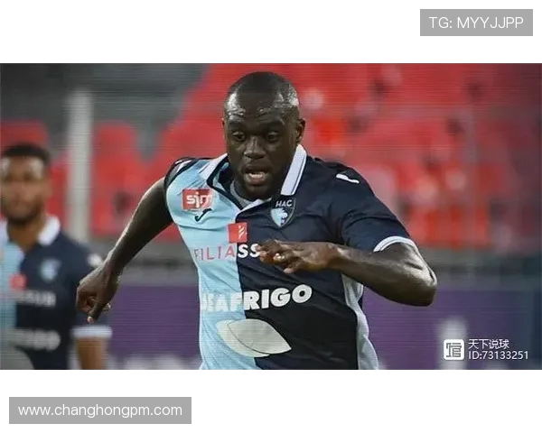 图卢兹与布尔格比赛结果分析及精彩瞬间回顾